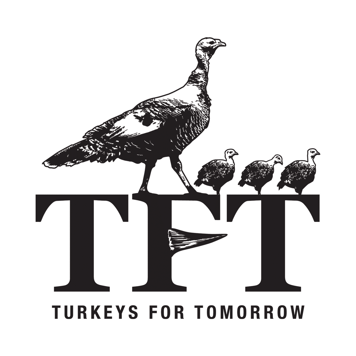 Hen/Poult Decal